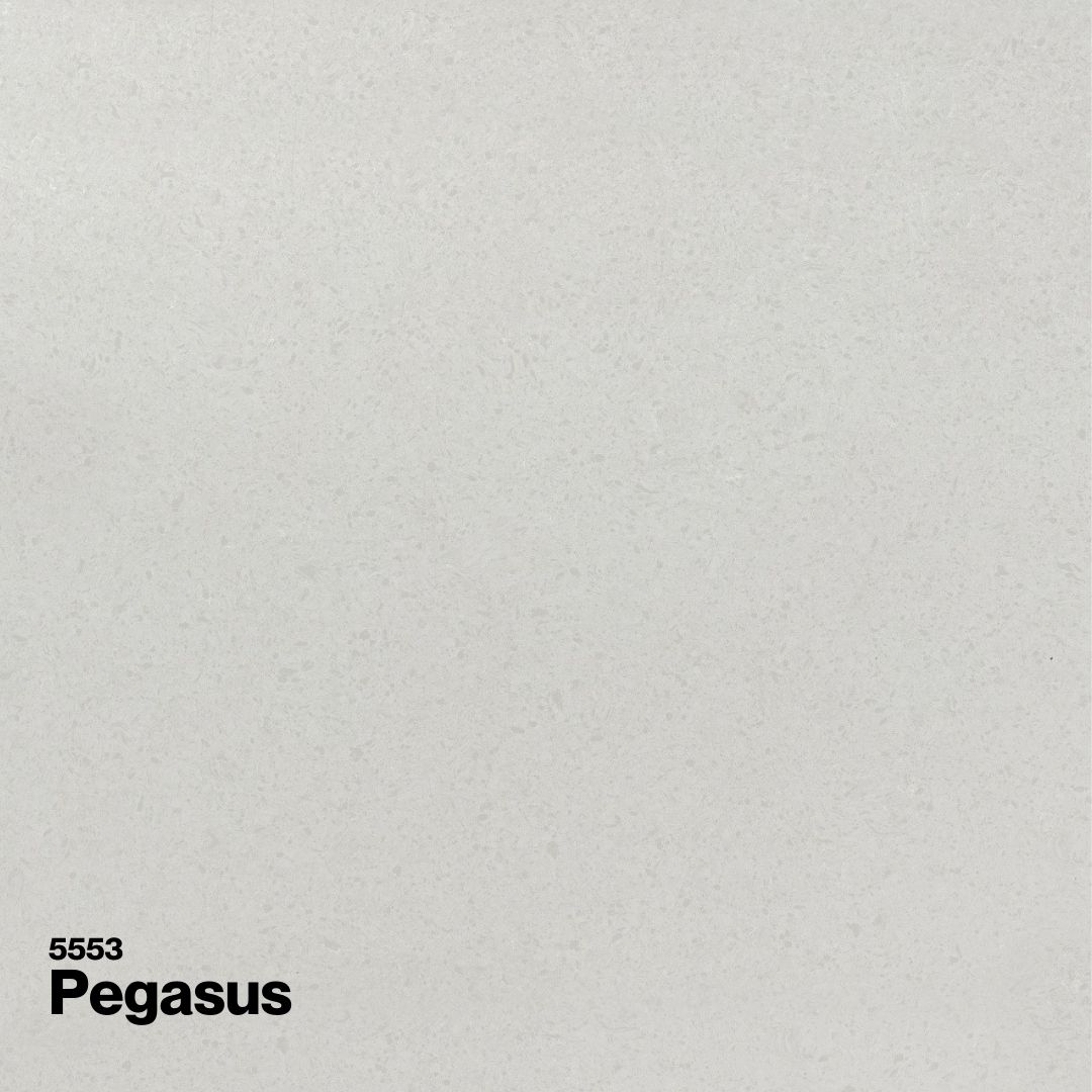 PEGASUS